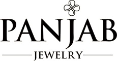 Panjab Jewelry Panjab Jewelry ecommerce seller TrackVid VMS